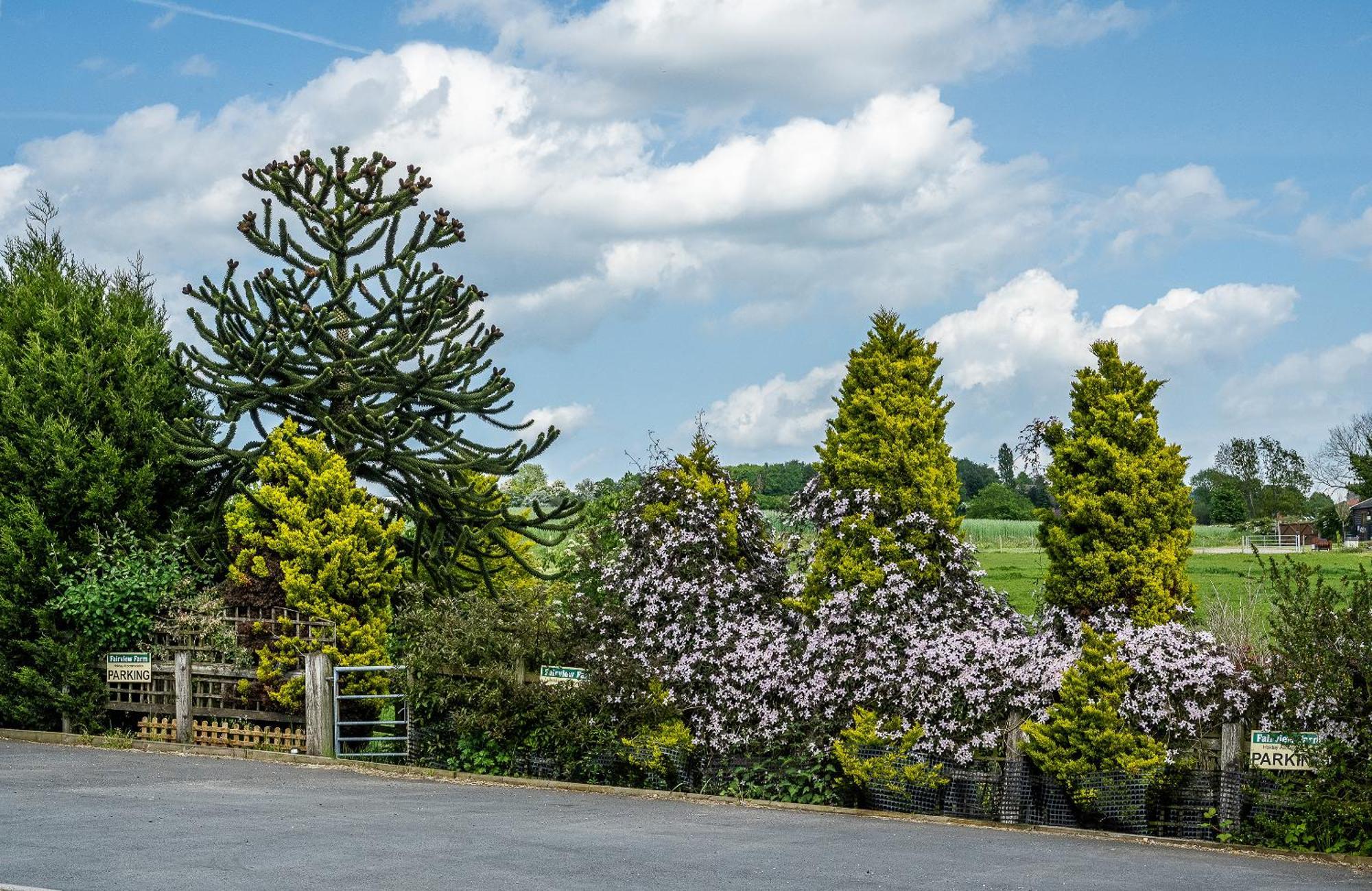 Upside Down House - Sleeps Up To 6 Guests - Great For Family And Friends Gatherings,Corporate Events ,Near Sherwood Forest At Fairview Farm In Nottingham Set In 88 Acres 외부 사진
